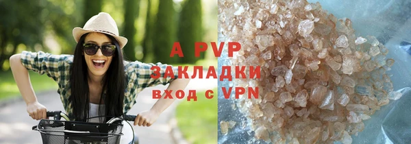 прущие крисы Абаза